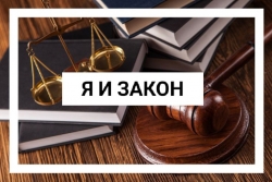 В период с 1 по 30 ноября на территории Чесменского района проходила профилактическая акция «Я и закон»