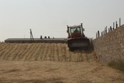 В Чесменском районе продолжается заготовка кормов