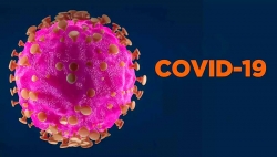 У переболевших COVID-19 вырабатывается иммунитет к нему