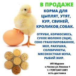 В продаже - корма!