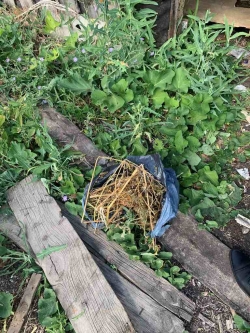 В Чесменском районе возбуждено уголовное дело по факту незаконного хранения наркотических средств