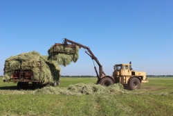 На полях Чесменского района продолжается заготовка кормов