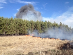 В Челябинской области  стартовал пожароопасный сезон