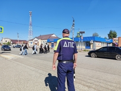 В Чесменском округе проходят мероприятия, направленные на профилактику детского дорожно-транспортного травматизма