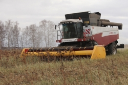 Полеводы Чесменского района намолотили свыше 150 тысяч тонн зерна