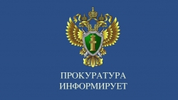 Управлением правовой статистики прокуратуры Челябинской области проведен анализ состояния преступности в Чесменском районе за первый квартал 2023 года