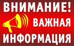 В Чесменском районе начался прием заявлений на получение ежемесячных выплат для малообеспеченных семей с детьми от 8 до 17 лет