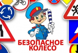 В Чесменском районе состоялся районный этап конкурса «Безопасное колесо»