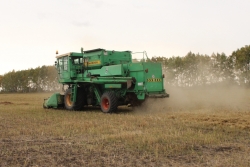 Аграрии Чесменского района намолотили более 55 тысяч тонн зерна