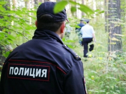 В Чесменском районе полицейские установили причастность замдиректора строительной компании к незаконной рубке леса