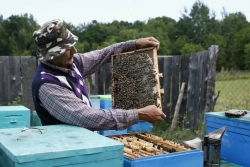 В Чесменском районе создан районный Союз пчеловодов