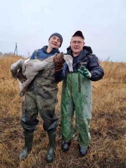 Жители села Светлое Иван Григорьев и Сергей Полников спасли лебедя с замерзающего озера
