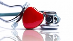 В ритме сердца: где пройти кардиологическое обследование