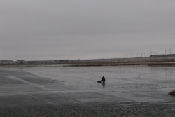 На водоемах вблизи поселка Березинский могут запретить промышленный лов рыбы