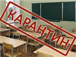 ОРВИ наступает: на внеплановые каникулы  отправлены учащиеся Чесменской средней школы им. Гаврилова