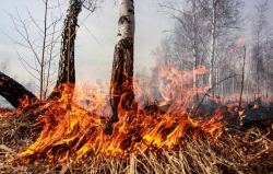 Штрафы грозят немалые: 1 мая в Чесменском районе введен особый противопожарный режим