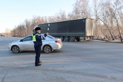 Сотрудники ОМВД России по Чесменскому району провели оперативно-профилактическое мероприятие &laquo;Правопорядок&raquo;.