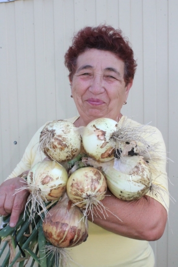 Жительницы Чесмы вырастили знатный урожай лука и чеснока