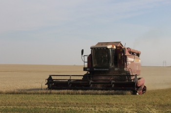 Аграрии Чесменского района намолотили почти 92 тысячи тонн зерна