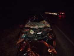 В Чесменском округе сотрудники Госавтоинспекции устанавливают обстоятельства ДТП с участием сельскохозяйственного животного