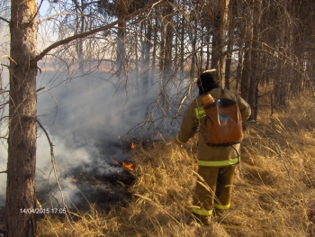 В Чесменском районе зафиксирован рост числа пожаров