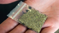 Чесменские полицейские изъяли 350 граммов наркотических веществ