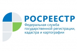 Все больше правообладателей вносят в ЕГРН данные своей электронной почты