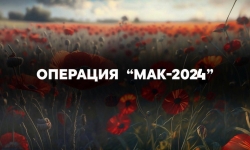 На территории Челябинской области стартовал первый этап оперативно-профилактической операции «Мак-2024»