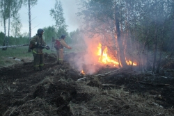Въезд в леса запрещен: с 30 апреля на территории Челябинской области введен особый противопожарный режим