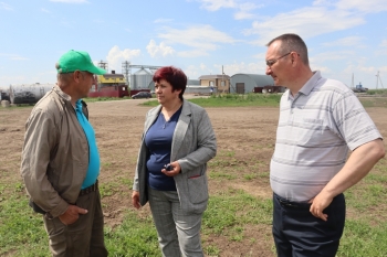 На полях Чесменского района завершается посевная кампания