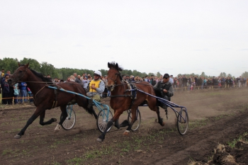 Конные скачки в Чесме