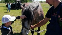 В Министерстве сельского хозяйства Челябинской области соискатели гранта «Агростартап» защитили бизнес-планы